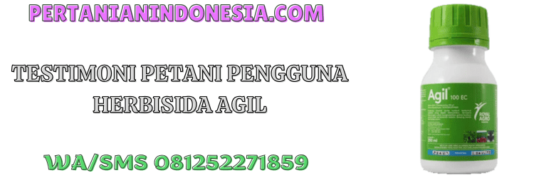 testimoni,petani,budidaya,tanaman,pertanian indonesia